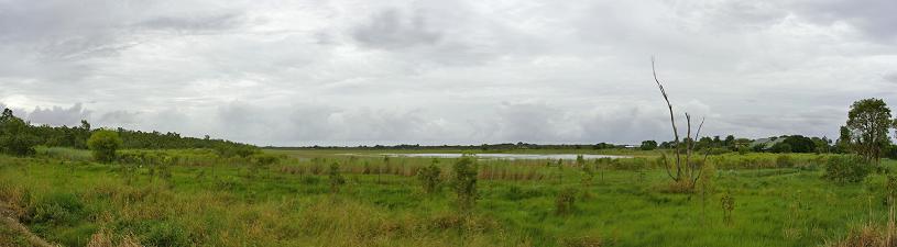 'Wet Season Wallow' Outer Suburbagaine