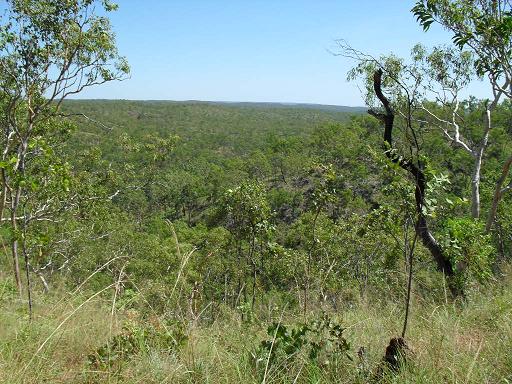 The 'Ethiopia Experience' Bush Rogaine